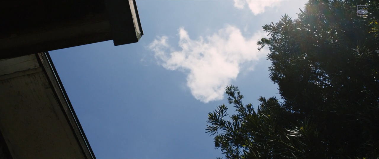 一夜剧照的剧照