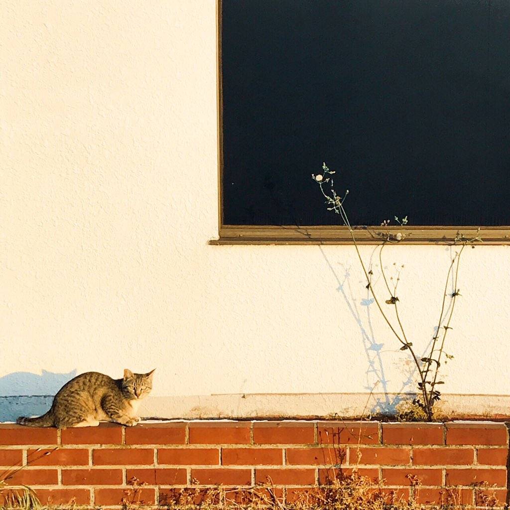 一夜剧照的剧照