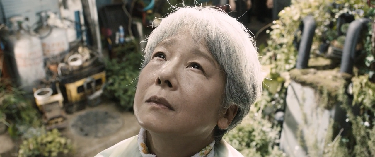 一夜剧照的剧照