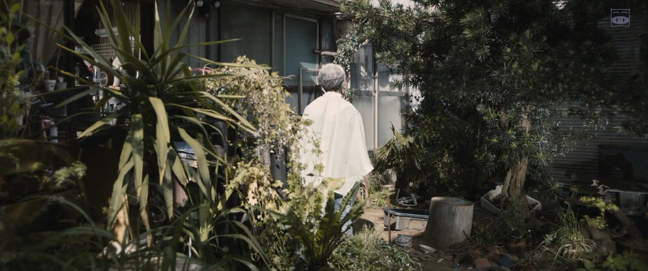 一夜剧照的剧照