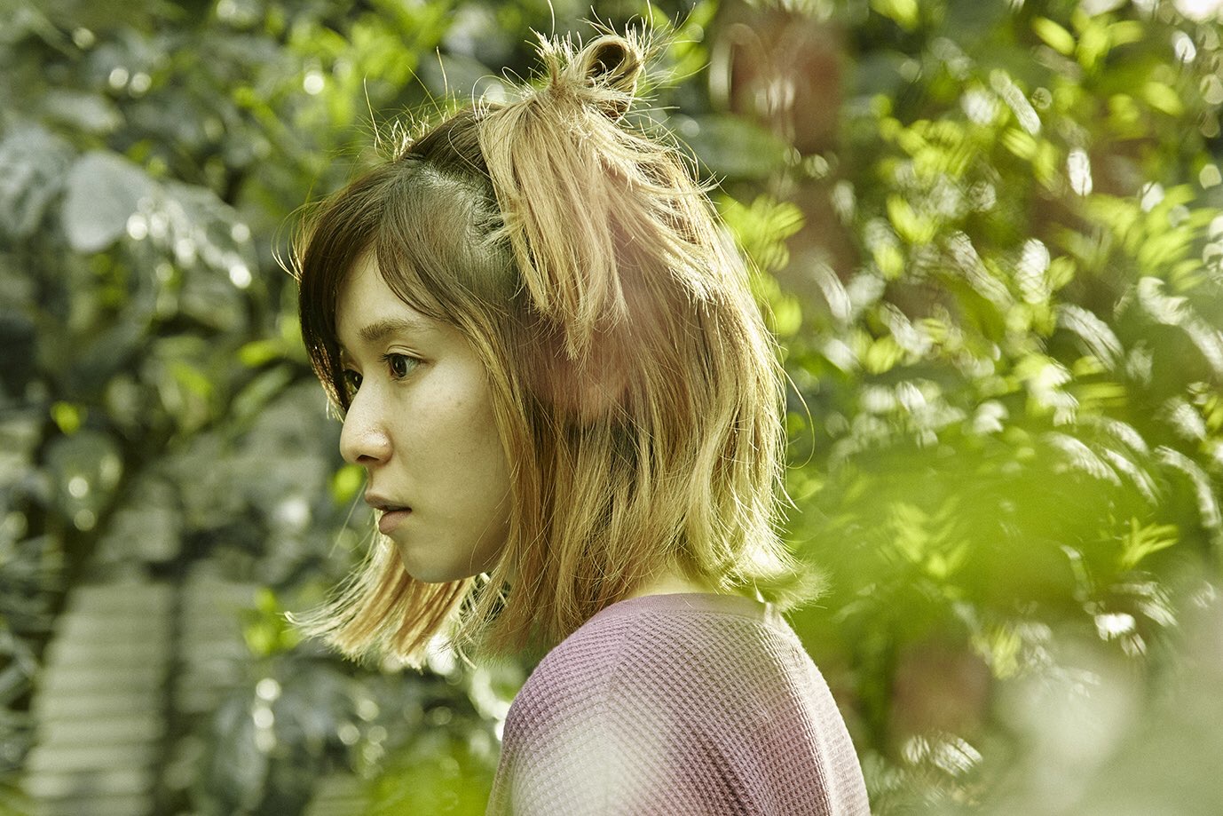 一夜剧照的剧照