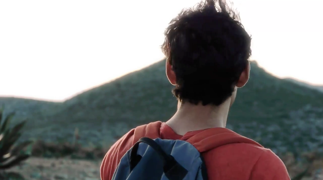 寻找仙人掌剧照的剧照