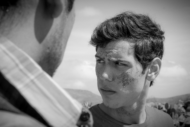 寻找仙人掌剧照的剧照