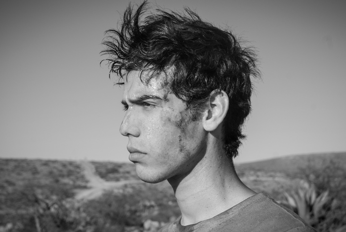 寻找仙人掌剧照的剧照