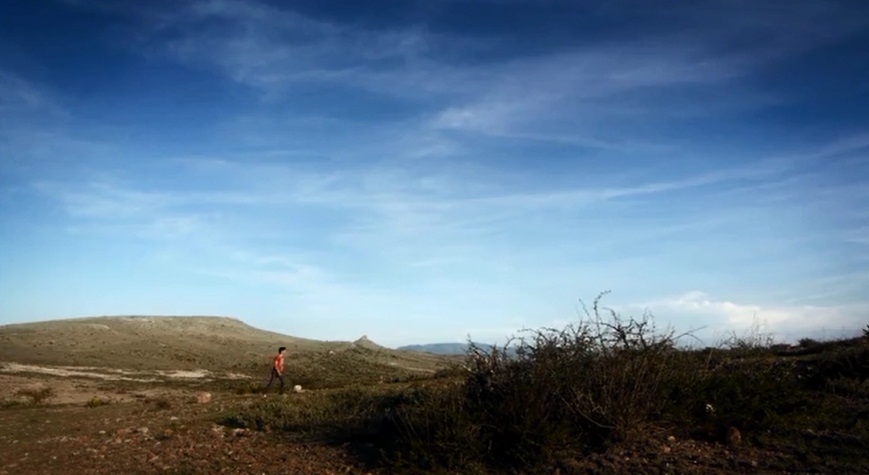 寻找仙人掌剧照的剧照