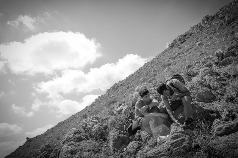 寻找仙人掌剧照的剧照