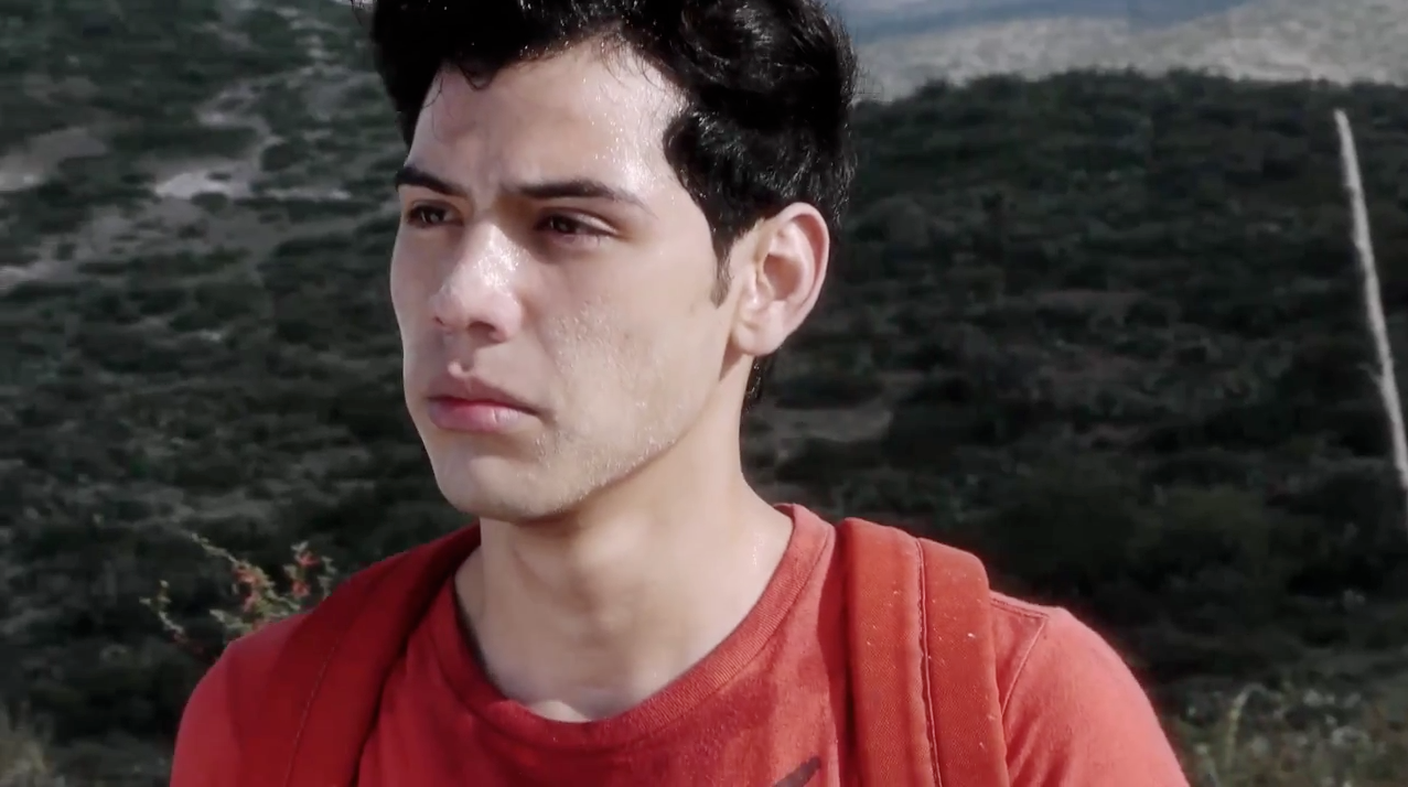 寻找仙人掌剧照的剧照