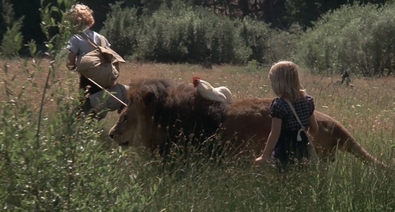 拿破仑与萨曼莎剧照的剧照