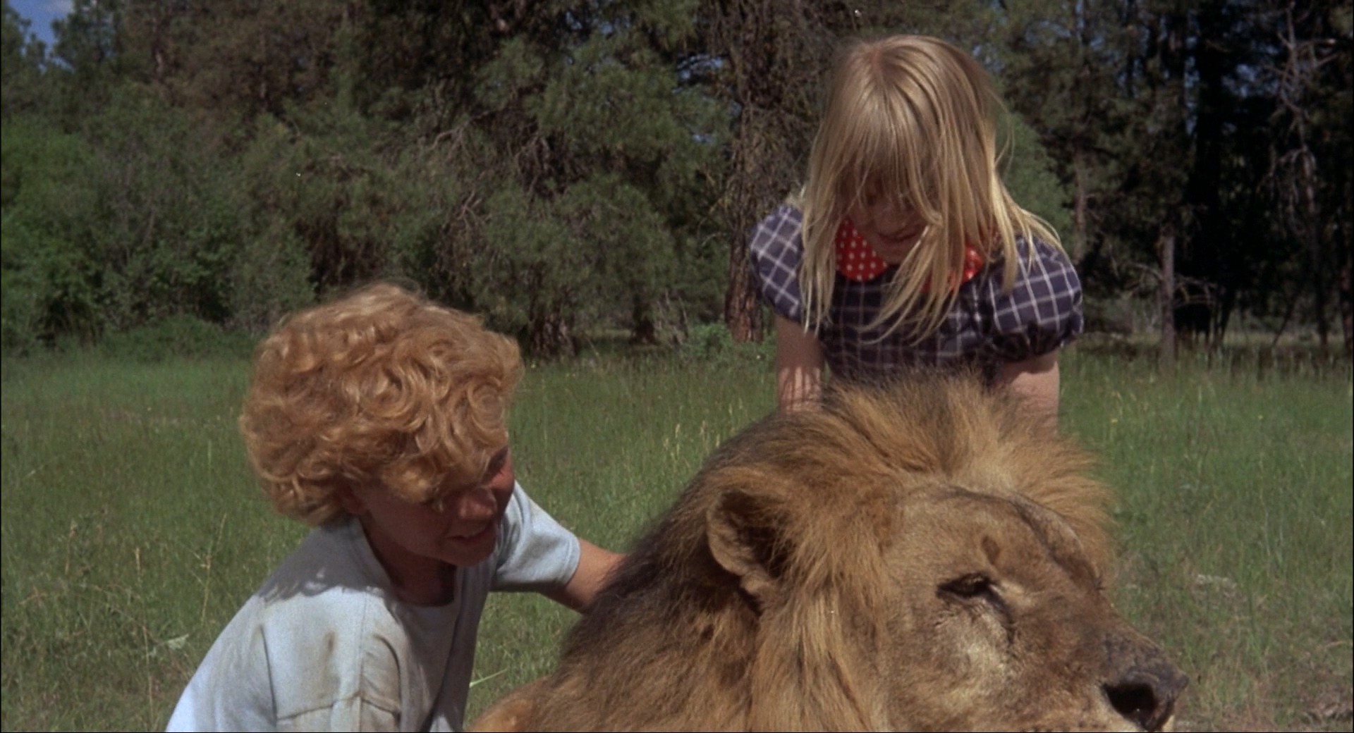 拿破仑与萨曼莎剧照的剧照