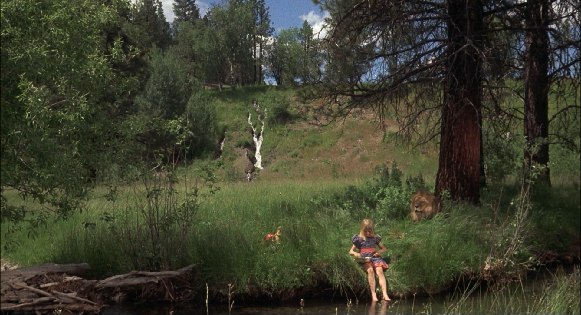 拿破仑与萨曼莎剧照的剧照