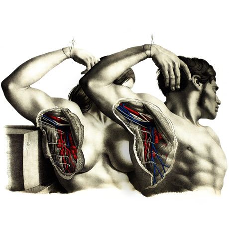 弗兰肯斯坦剧照的剧照