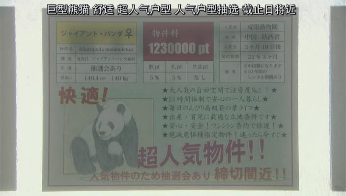 世界奇妙物语 2012年秋之特別篇剧照的剧照