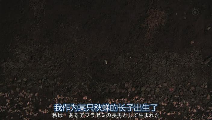 世界奇妙物语 2012年秋之特別篇剧照的剧照