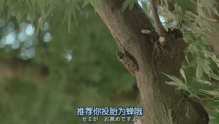 世界奇妙物语 2012年秋之特別篇剧照的剧照