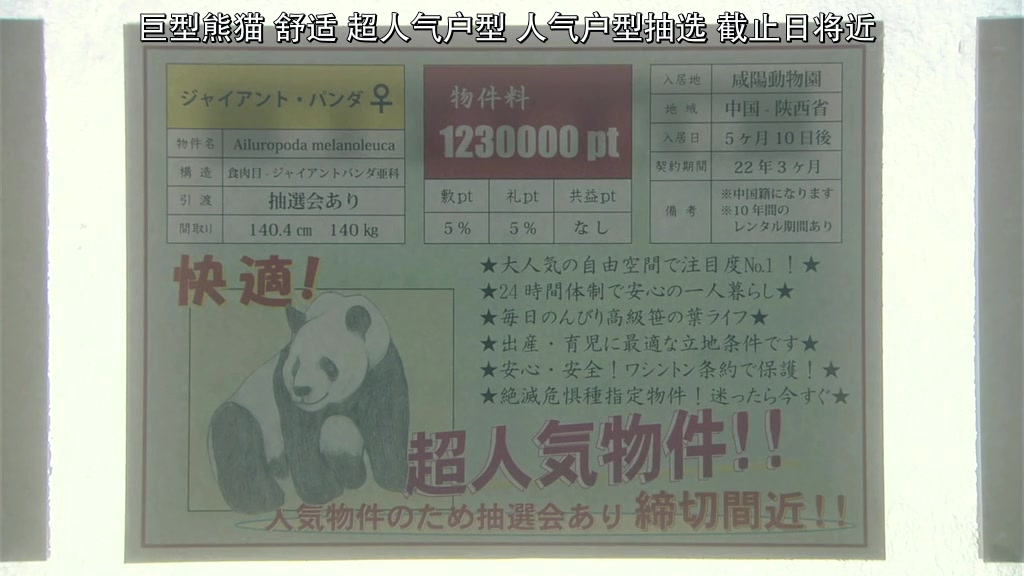 世界奇妙物语 2012年秋之特別篇剧照的剧照