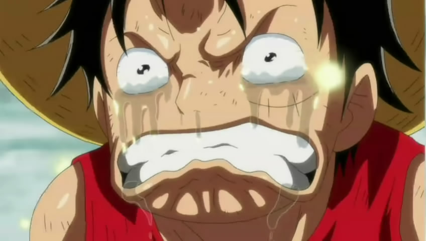 海贼王梅利篇：另一名同伴的故事剧照的剧照