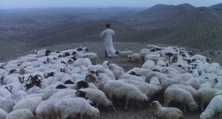 边走边唱剧照的剧照