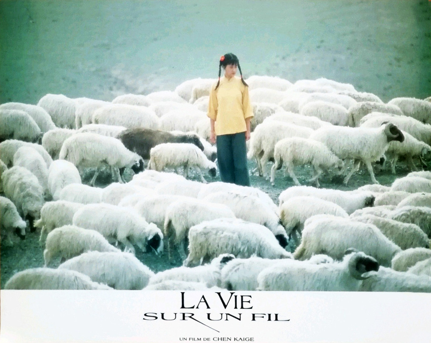 边走边唱剧照的剧照