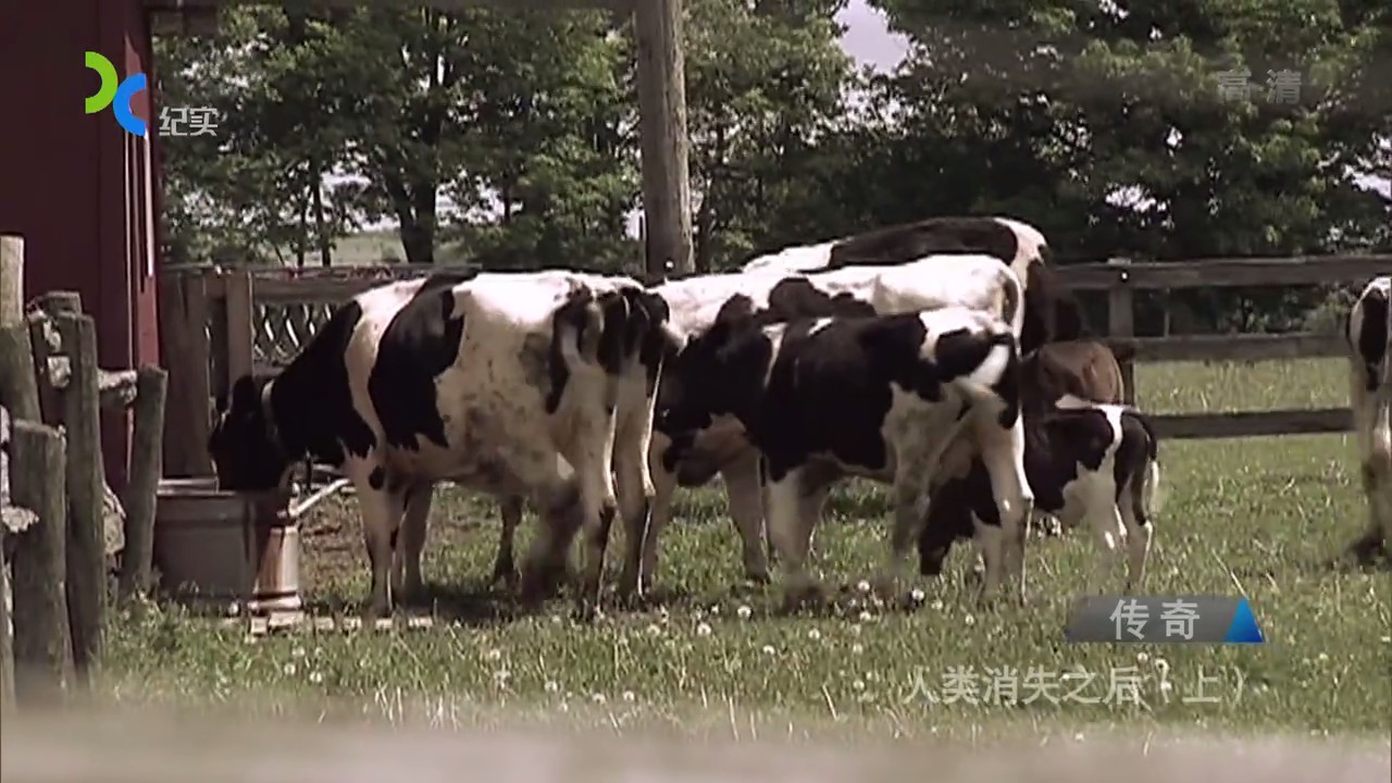 国家地理：人类消失之后剧照的剧照