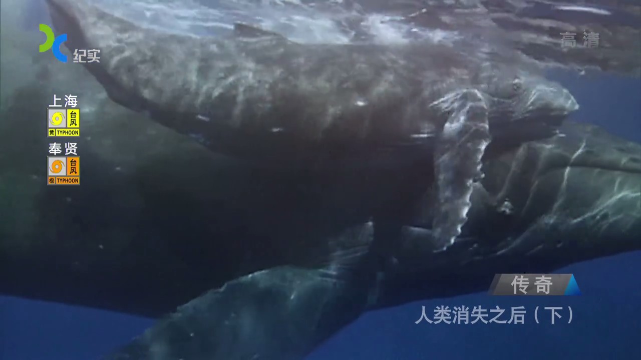 国家地理：人类消失之后剧照的剧照