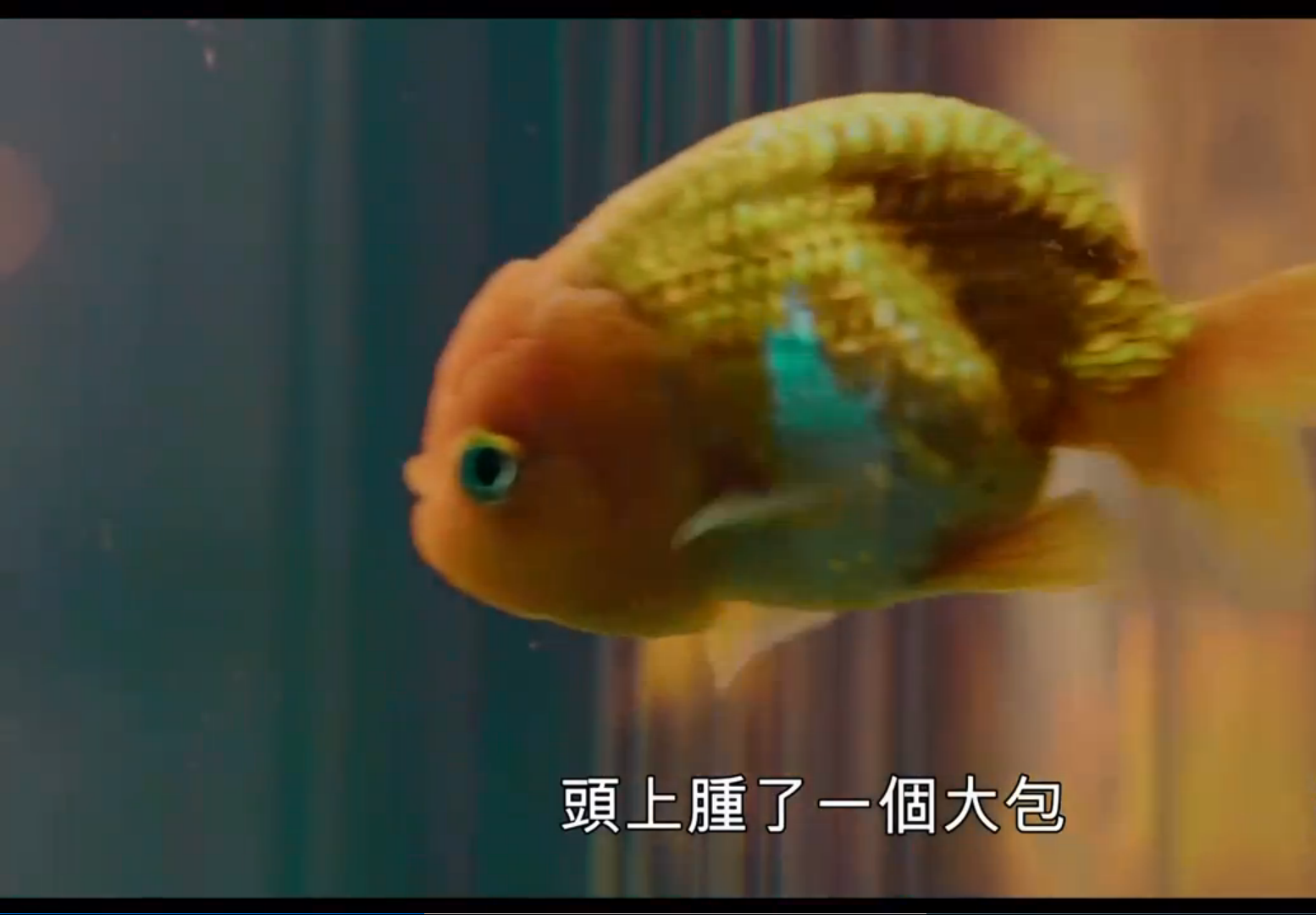 亡命之途剧照的剧照