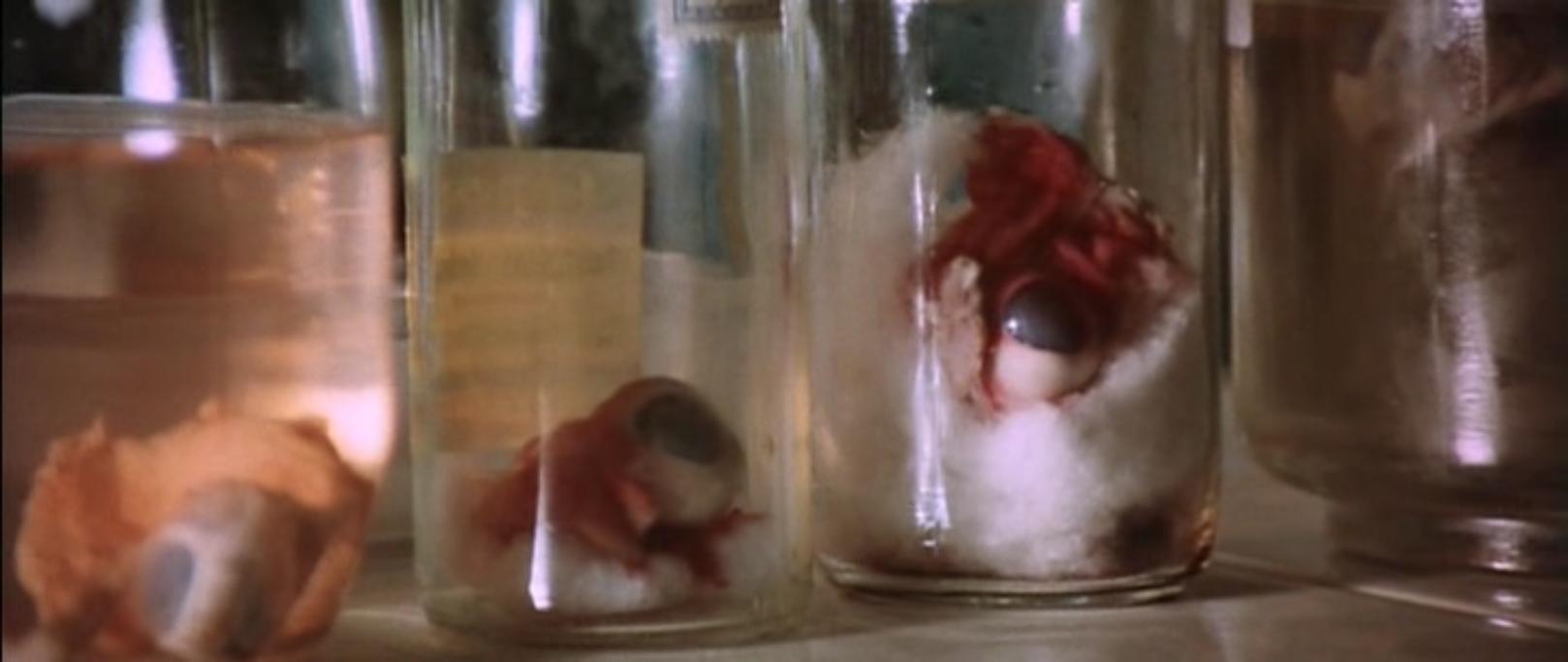 凶眼剧照的剧照