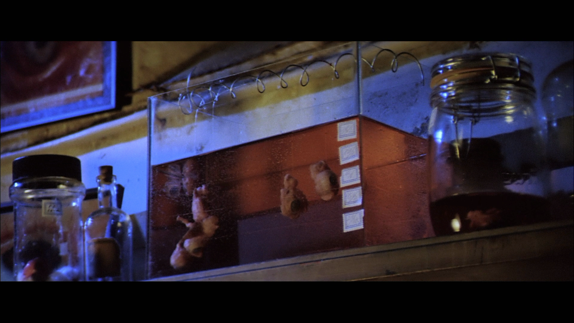 凶眼剧照的剧照