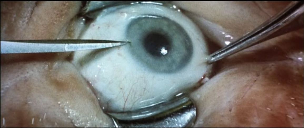 凶眼剧照的剧照