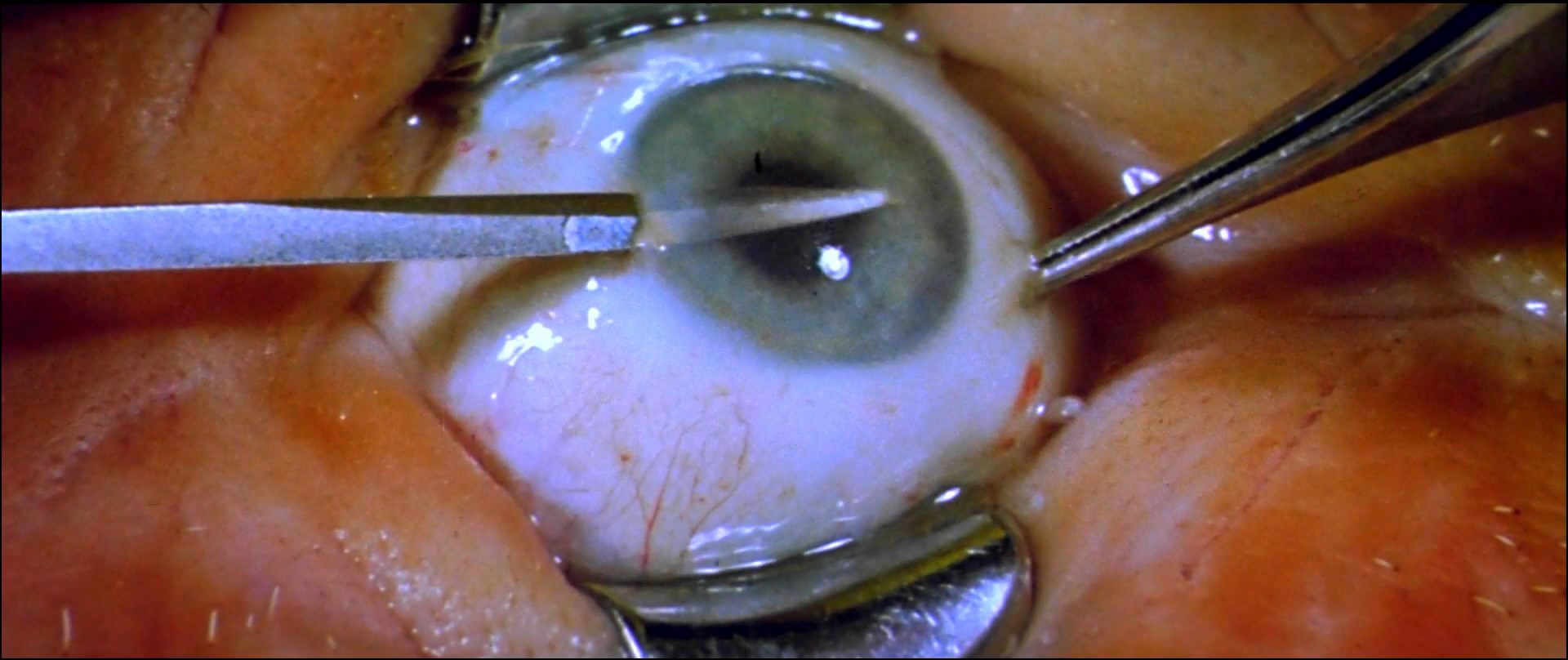 凶眼剧照的剧照