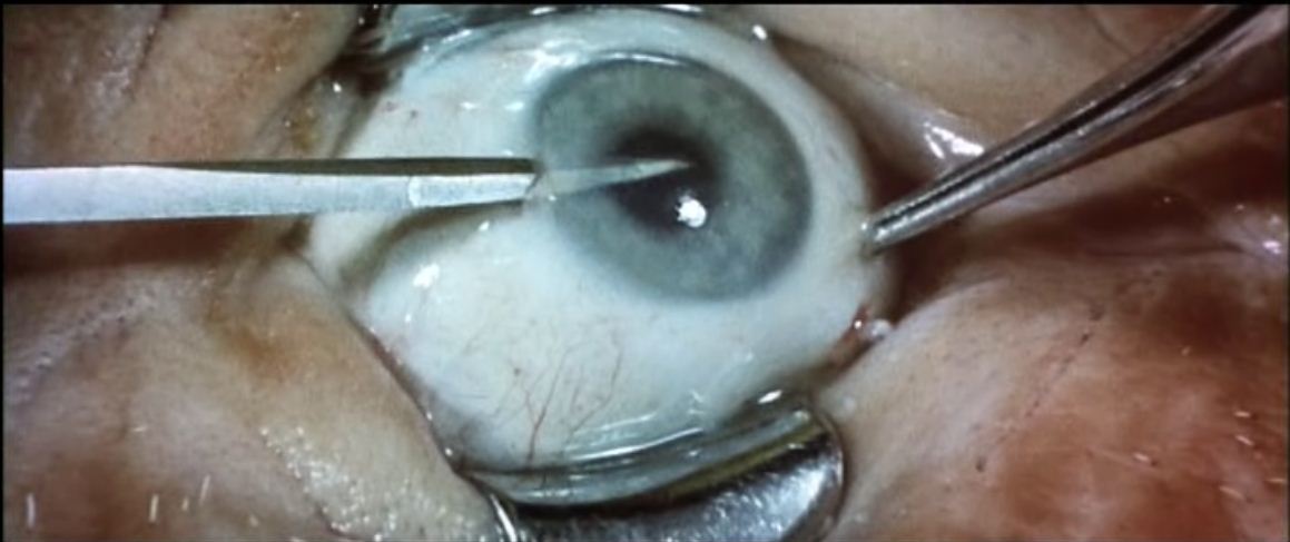 凶眼剧照的剧照