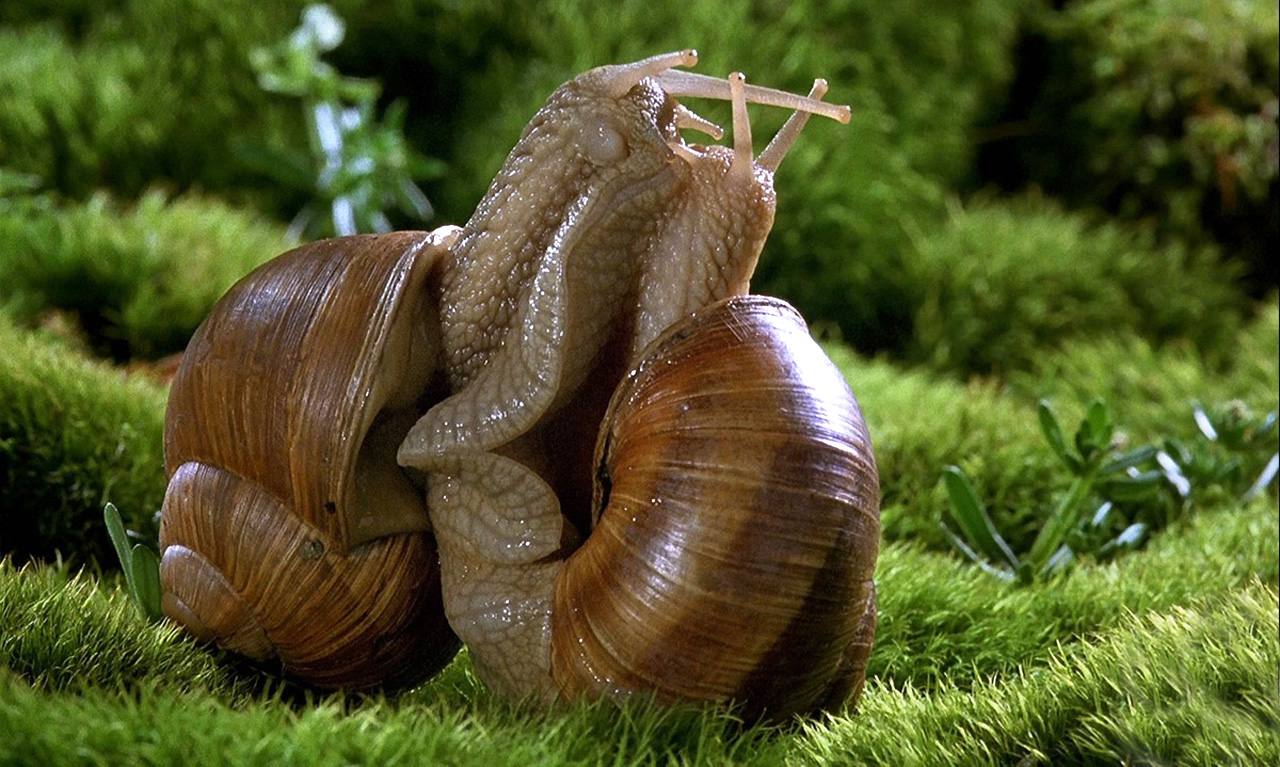 微观世界剧照的剧照