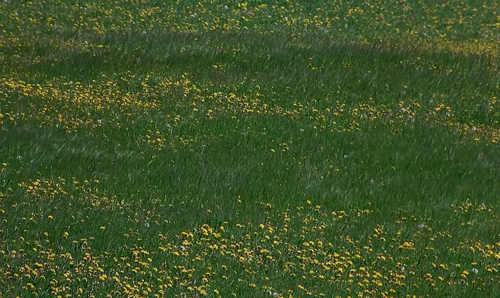 微观世界剧照的剧照