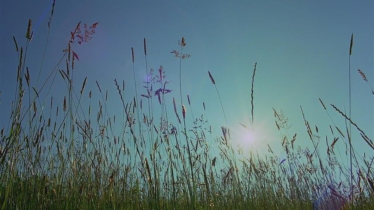 微观世界剧照的剧照