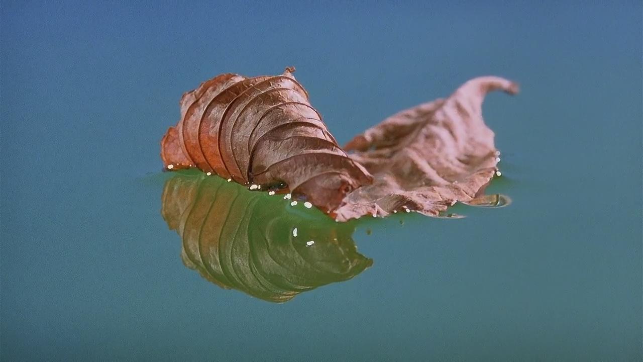 微观世界剧照的剧照