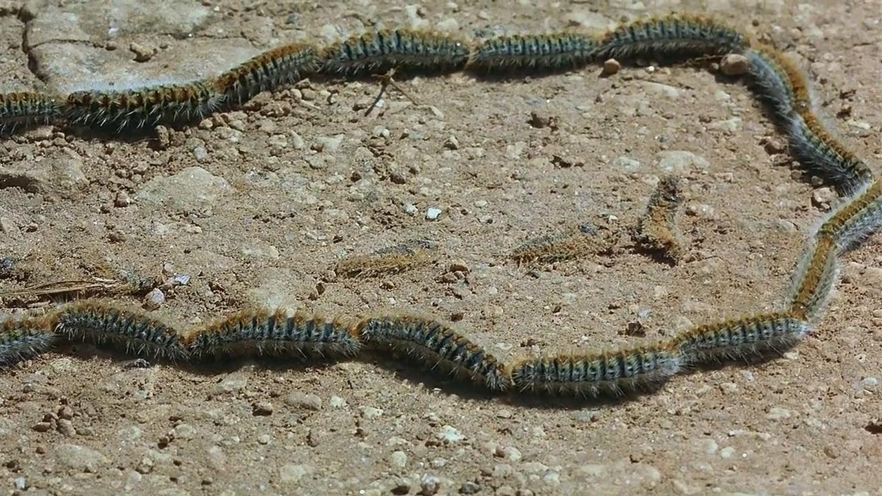 微观世界剧照的剧照