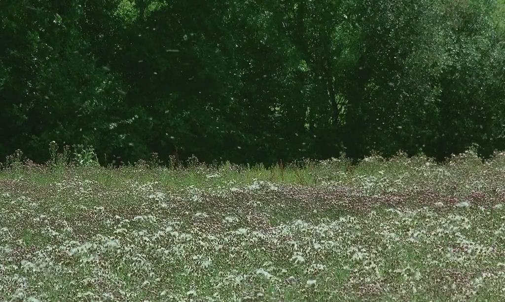 微观世界剧照的剧照