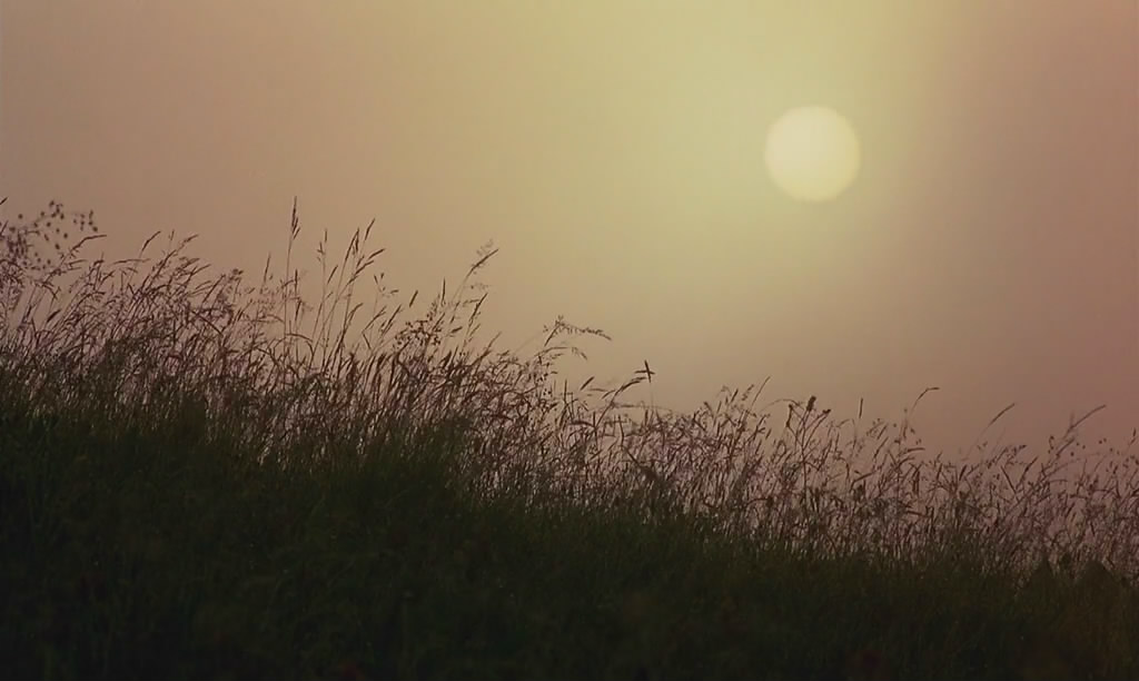 微观世界剧照的剧照