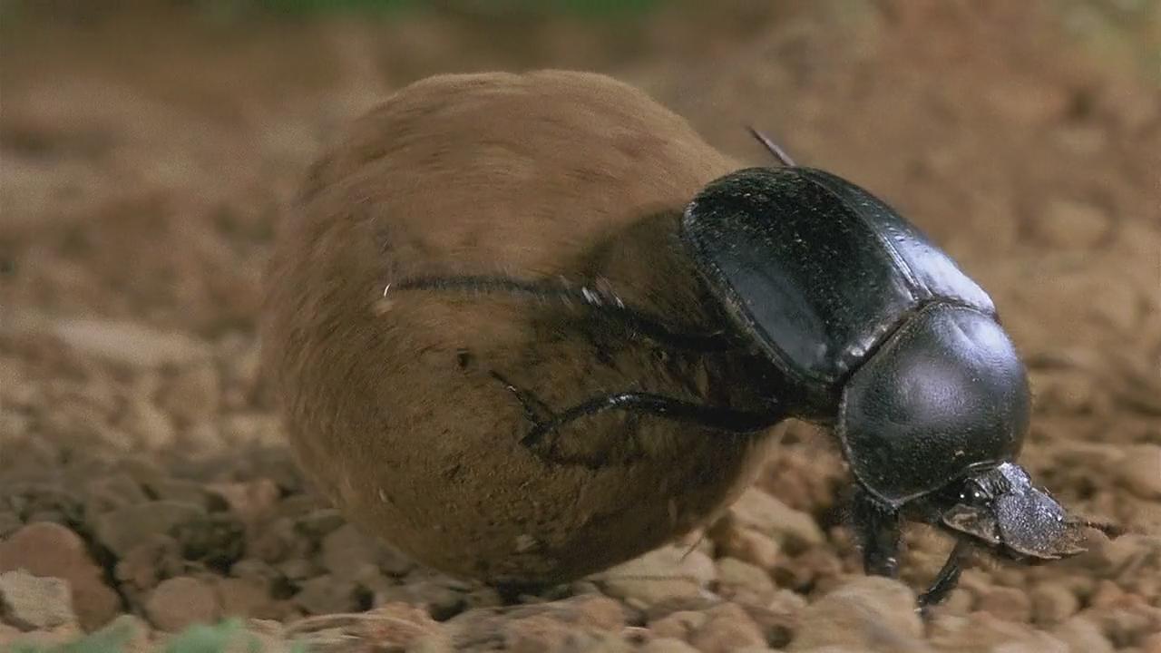 微观世界剧照的剧照