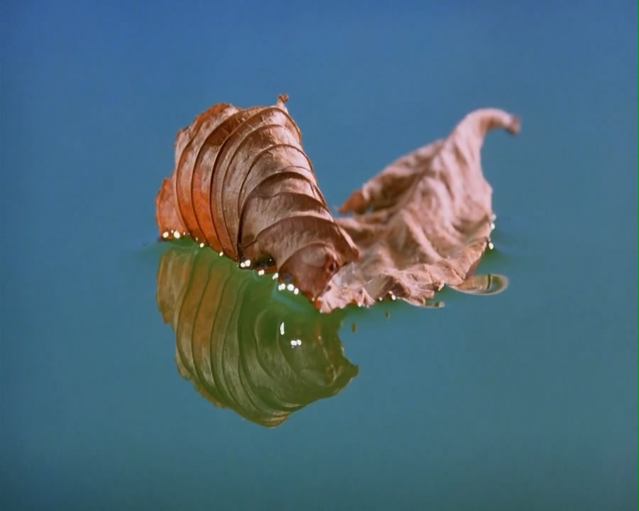 微观世界剧照的剧照