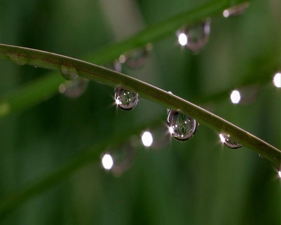 微观世界剧照的剧照