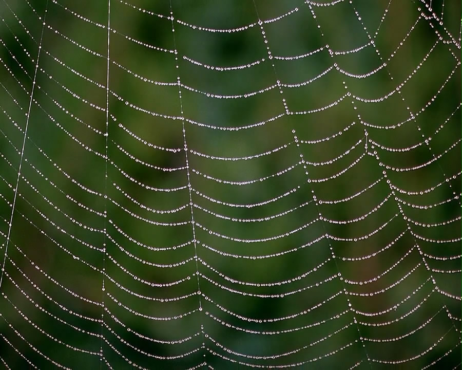 微观世界剧照的剧照