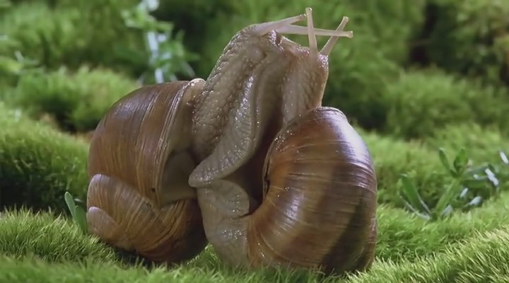 微观世界剧照的剧照