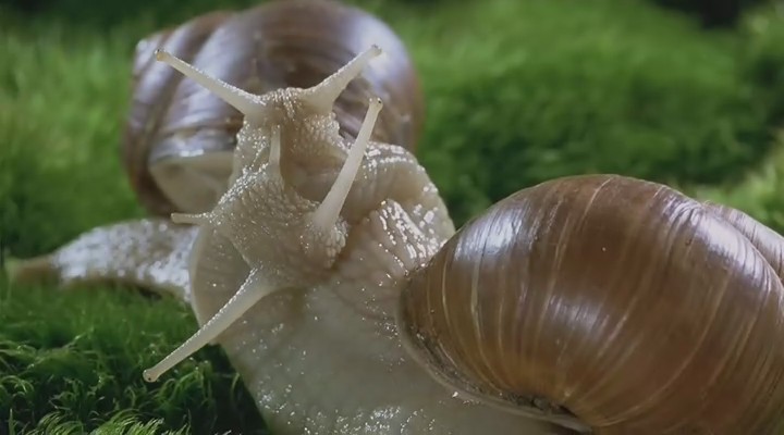 微观世界剧照的剧照