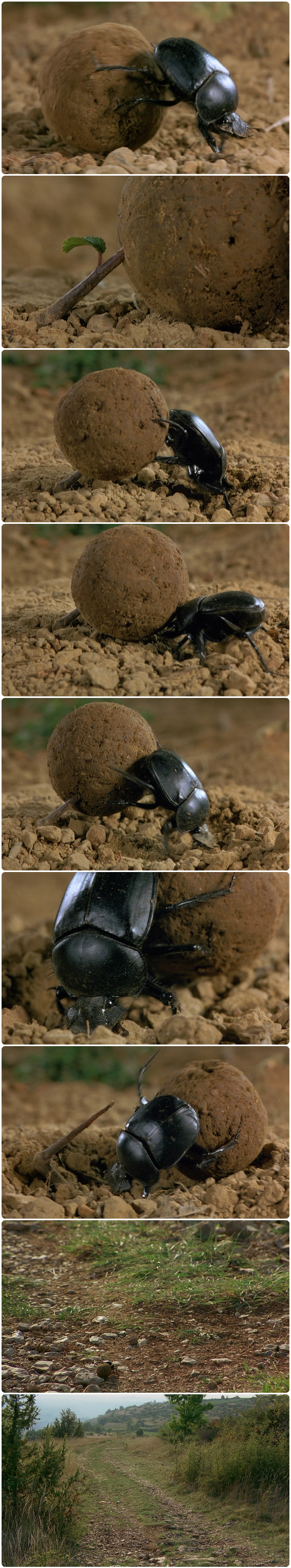 微观世界剧照的剧照