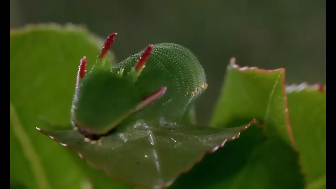 微观世界剧照的剧照