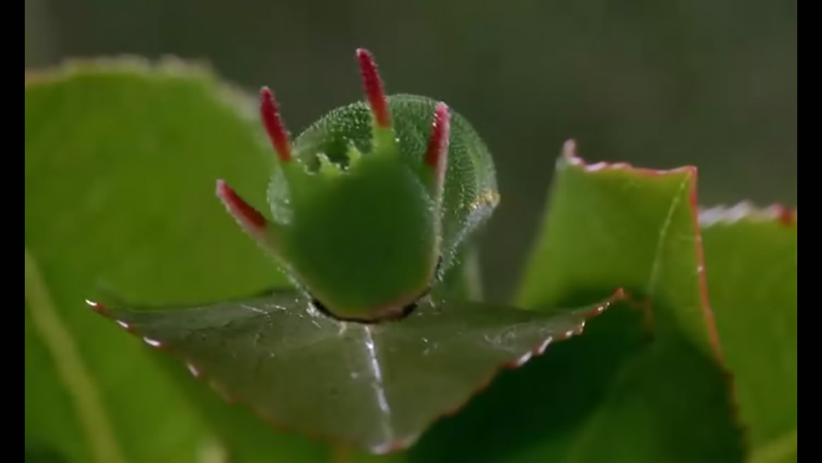 微观世界剧照的剧照