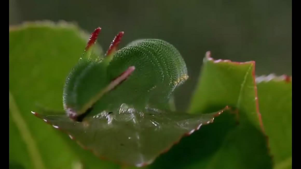 微观世界剧照的剧照