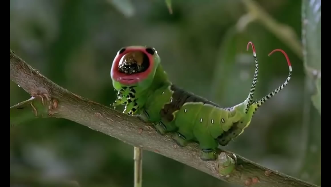 微观世界剧照的剧照