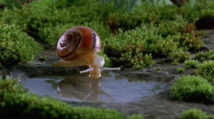 微观世界剧照的剧照