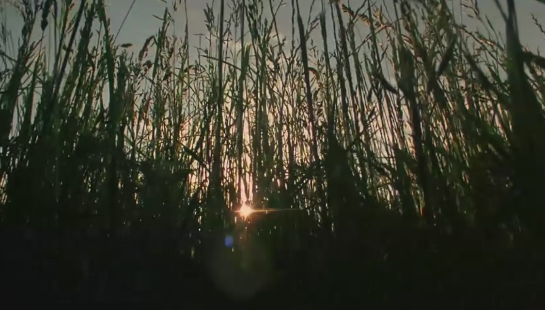 微观世界剧照的剧照